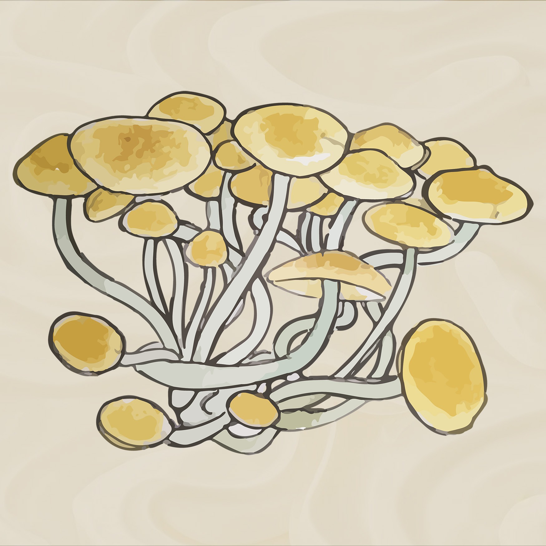 growkit golden teacher growbox mushroom