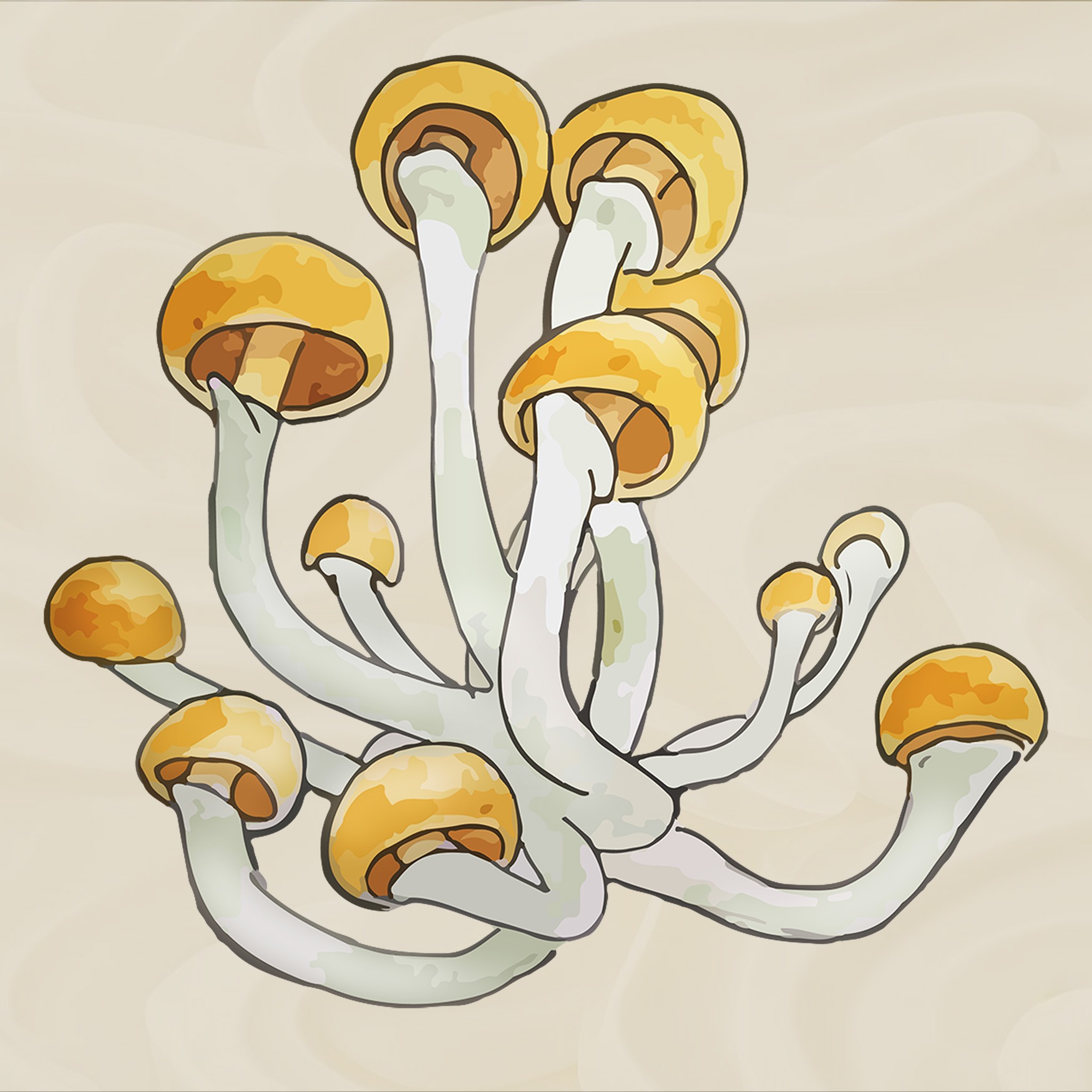 growkit jedi mind fuck growbox mushroom