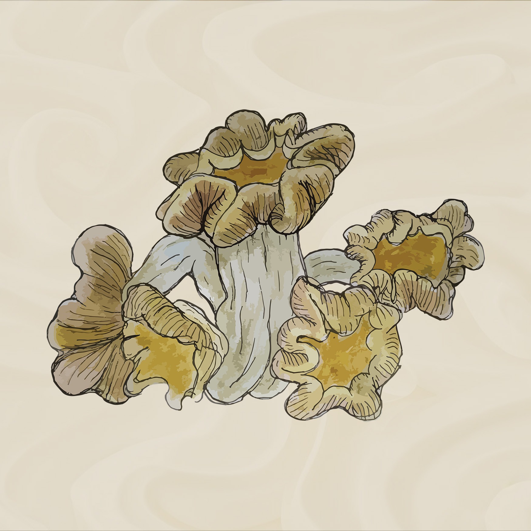 growkit omni full auto growbox mushroom