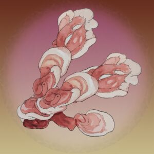 płynne kultury, liquid culture, lc,, growkit, growbox, Reishi, Lakownica Żółtawa, Ganoderma Lucidum