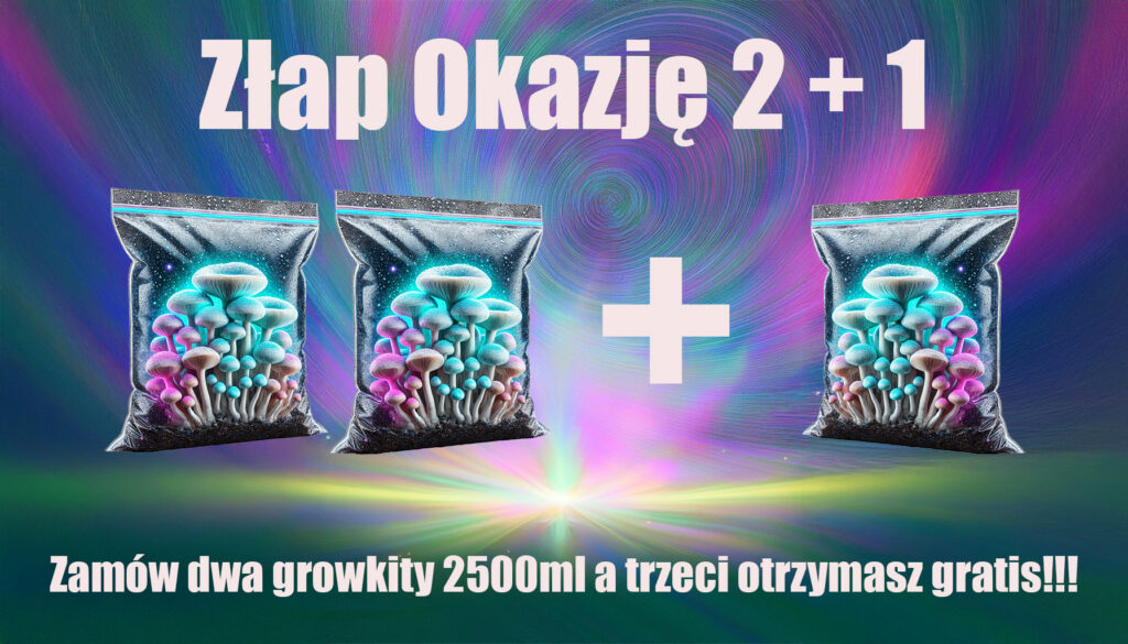 PROMOCJA 2+1 okazja gratis growkit